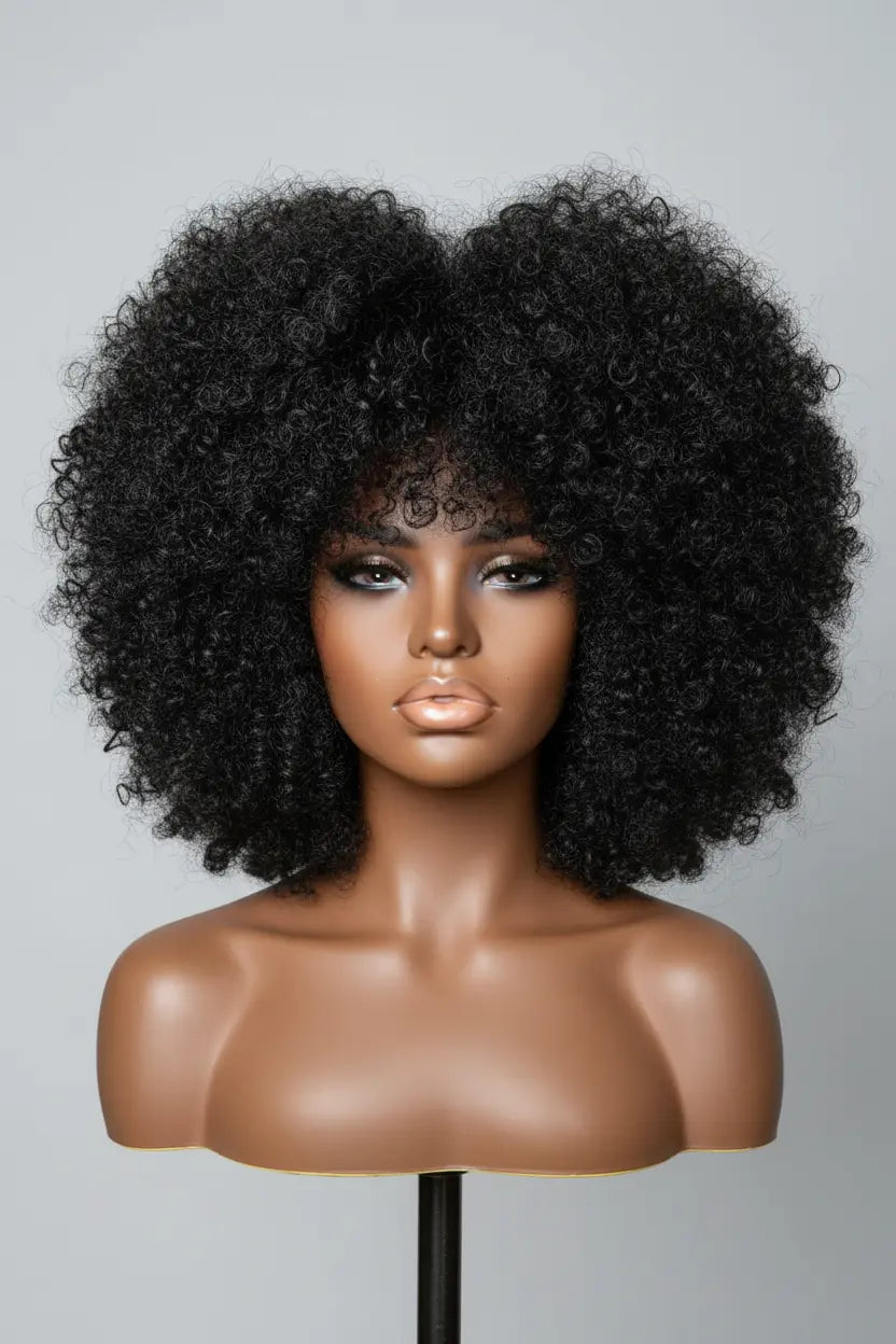 Duo Perruques Afro Curly 2-en-1